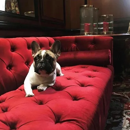 Hotel Narutis - Small Luxury Of The World Vilnius