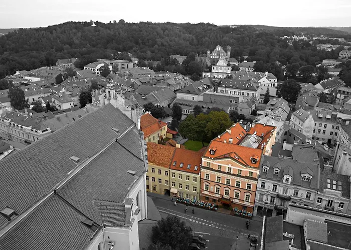 Narutis - Small Luxury Of The World Vilnius