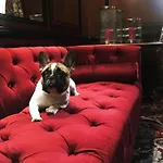 Hotell Narutis - Small Luxury Of The World Vilnius